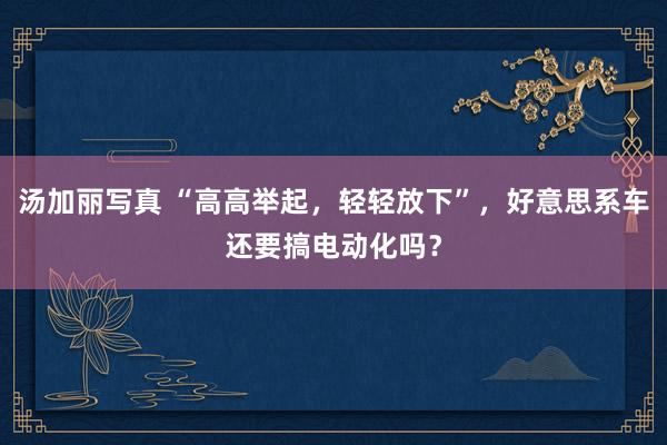 汤加丽写真 “高高举起，轻轻放下”，好意思系车还要搞电动化吗？