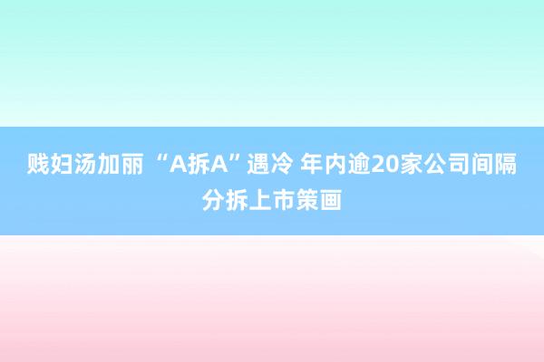贱妇汤加丽 “A拆A”遇冷 年内逾20家公司间隔分拆上市策画