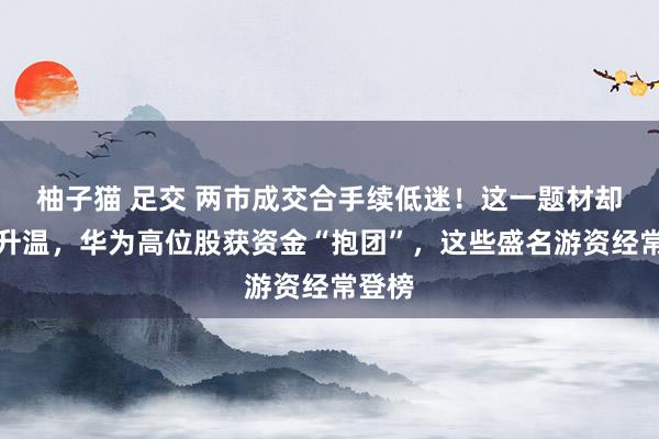 柚子猫 足交 两市成交合手续低迷!这一题材却逆市升温,华为高位股获资金“抱团”,这些盛名游资经常登榜