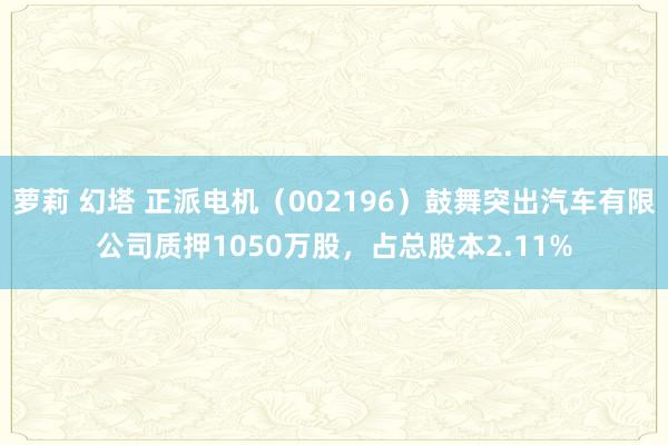 萝莉 幻塔 正派电机（002196）鼓舞突出汽车有限公司质押1050万股，占总股本2.11%