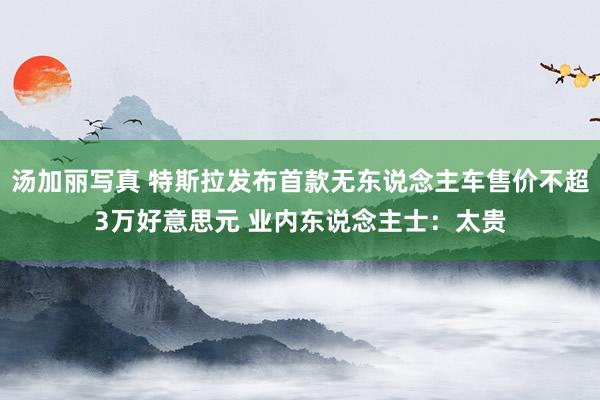 汤加丽写真 特斯拉发布首款无东说念主车售价不超3万好意思元 业内东说念主士：太贵