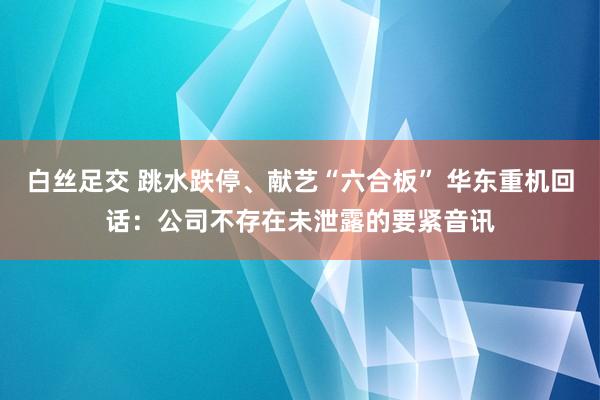 白丝足交 跳水跌停、献艺“六合板” 华东重机回话:公司不存在未泄露的要紧音讯
