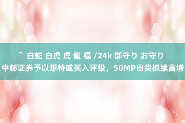 ✨白蛇 白虎 虎 龍 福 /24k 御守り お守り 中邮证券予以想特威买入评级，50MP出货抓续高增
