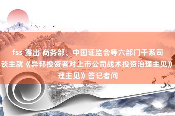 fss 露出 商务部、中国证监会等六部门干系司局负责东谈主就《异邦投资者对上市公司战术投资治理主见》