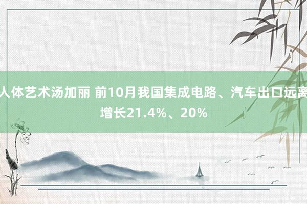 人体艺术汤加丽 前10月我国集成电路、汽车出口远离增长21.4%、20%