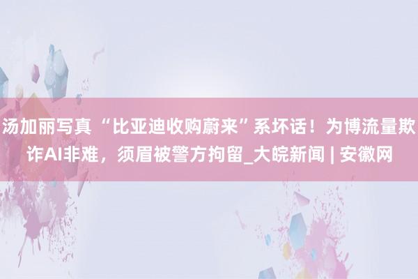 汤加丽写真 “比亚迪收购蔚来”系坏话！为博流量欺诈AI非难，须眉被警方拘留_大皖新闻 | 安徽网