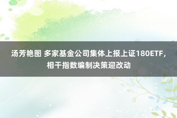 汤芳艳图 多家基金公司集体上报上证180ETF，相干指数编制决策迎改动