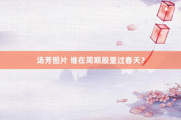汤芳图片 谁在周期股里过春天？
