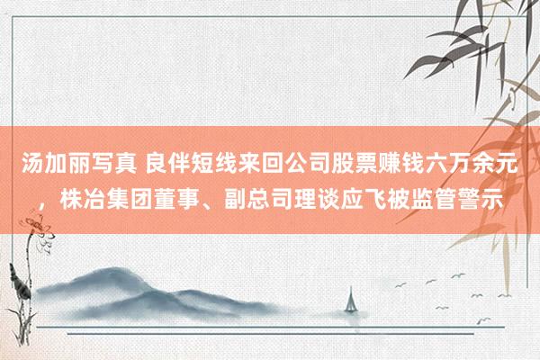 汤加丽写真 良伴短线来回公司股票赚钱六万余元，株冶集团董事、副总司理谈应飞被监管警示