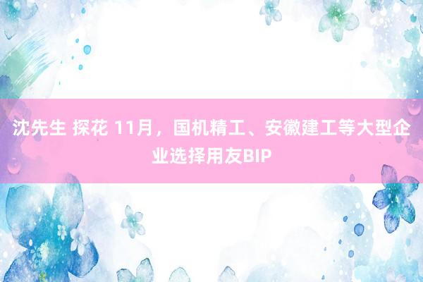沈先生 探花 11月，国机精工、安徽建工等大型企业选择用友BIP