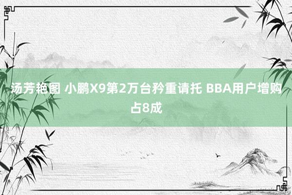 汤芳艳图 小鹏X9第2万台矜重请托 BBA用户增购占8成