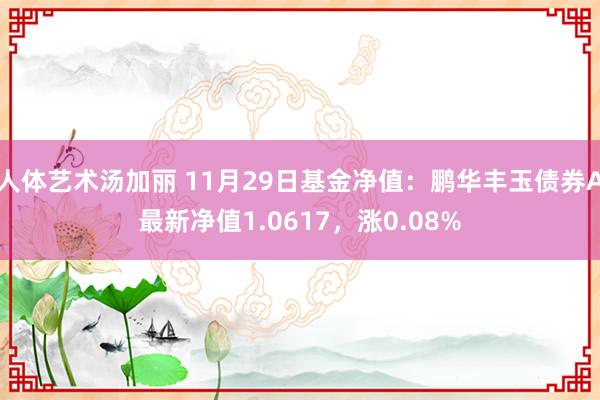 人体艺术汤加丽 11月29日基金净值：鹏华丰玉债券A最新净值1.0617，涨0.08%