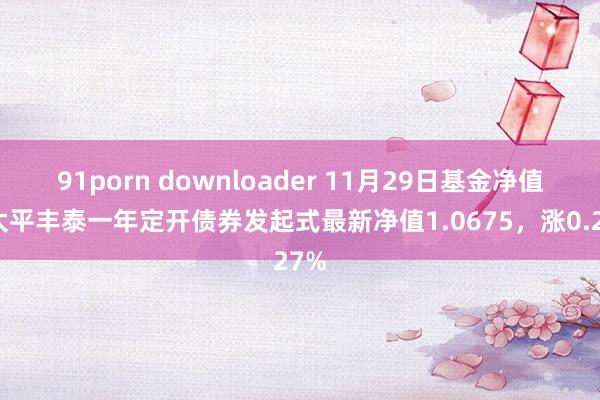 91porn downloader 11月29日基金净值：太平丰泰一年定开债券发起式最新净值1.06