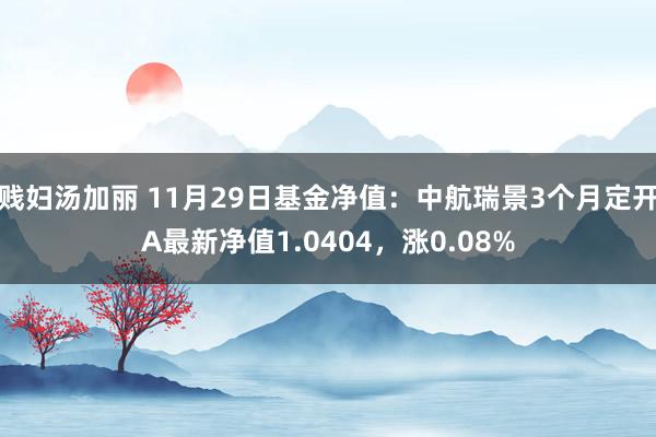 贱妇汤加丽 11月29日基金净值：中航瑞景3个月定开A最新净值1.0404，涨0.08%