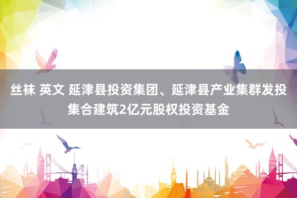 丝袜 英文 延津县投资集团、延津县产业集群发投集合建筑2亿元股权投资基金