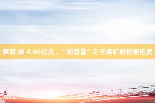 萝莉 操 4.46亿元，“前首富”之子煤矿股权被拍卖