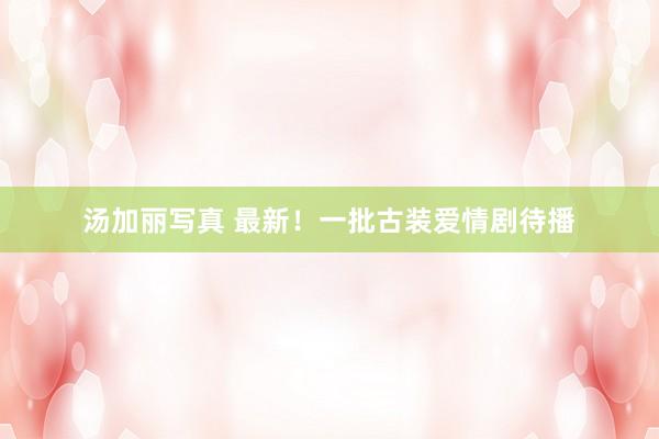 汤加丽写真 最新！一批古装爱情剧待播