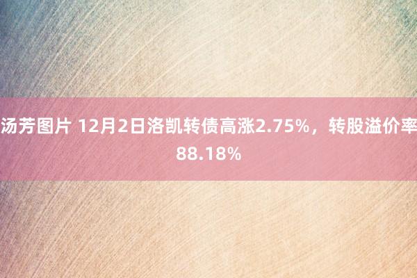 汤芳图片 12月2日洛凯转债高涨2.75%，转股溢价率88.18%