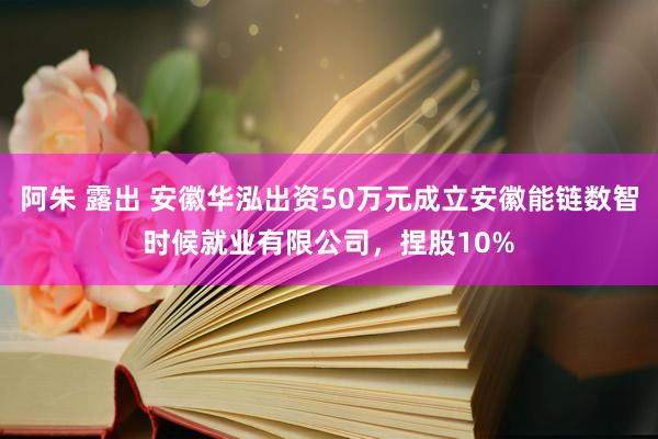 阿朱 露出 安徽华泓出资50万元成立安徽能链数智时候就业有限公司，捏股10%