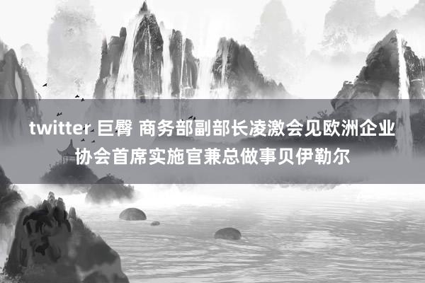 twitter 巨臀 商务部副部长凌激会见欧洲企业协会首席实施官兼总做事贝伊勒尔