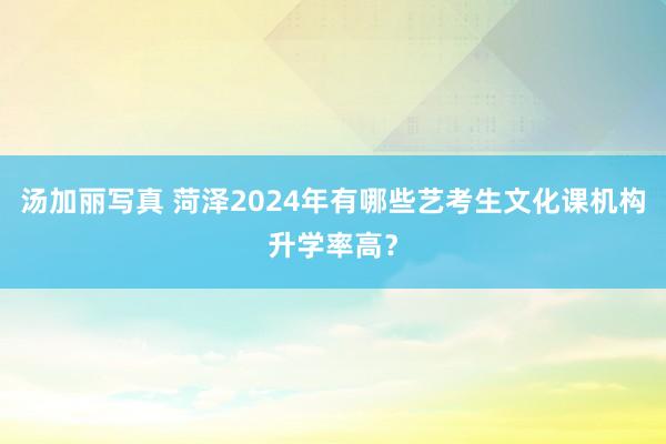 汤加丽写真 菏泽2024年有哪些艺考生文化课机构升学率高？