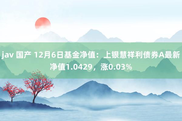 jav 国产 12月6日基金净值：上银慧祥利债券A最新净值1.0429，涨0.03%