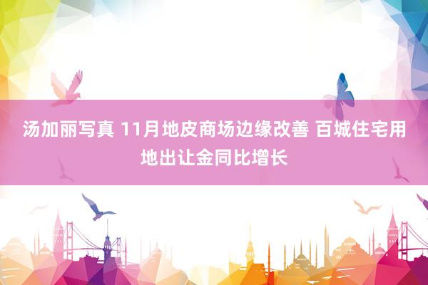 汤加丽写真 11月地皮商场边缘改善 百城住宅用地出让金同比增长
