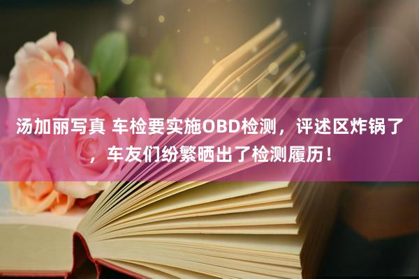 汤加丽写真 车检要实施OBD检测，评述区炸锅了，车友们纷繁晒出了检测履历！