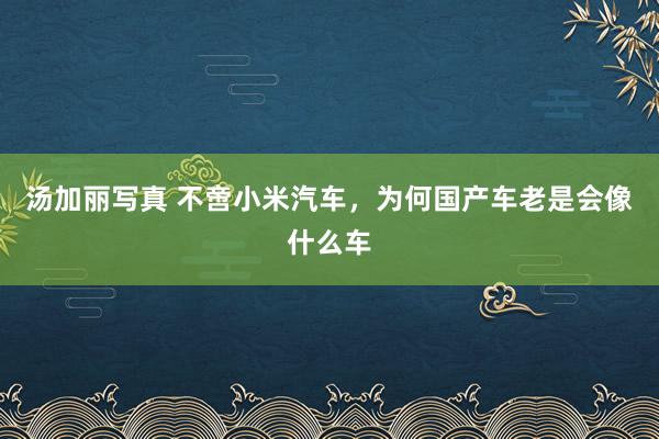 汤加丽写真 不啻小米汽车，为何国产车老是会像什么车