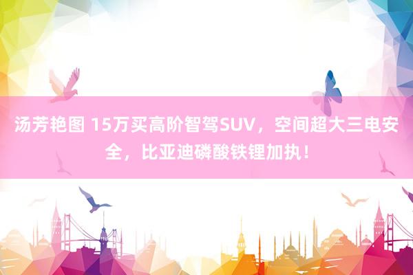 汤芳艳图 15万买高阶智驾SUV，空间超大三电安全，比亚迪磷酸铁锂加执！