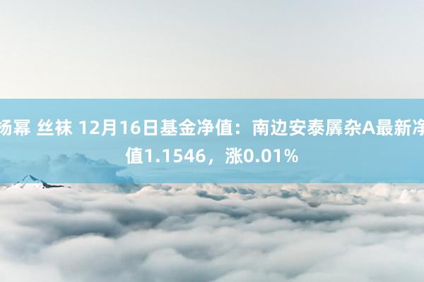 杨幂 丝袜 12月16日基金净值：南边安泰羼杂A最新净值1.1546，涨0.01%
