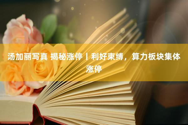汤加丽写真 揭秘涨停丨利好束缚，算力板块集体涨停