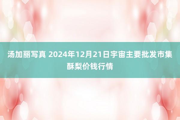汤加丽写真 2024年12月21日宇宙主要批发市集酥梨价钱行情