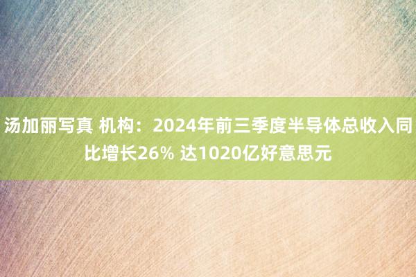 汤加丽写真 机构：2024年前三季度半导体总收入同比增长26% 达1020亿好意思元