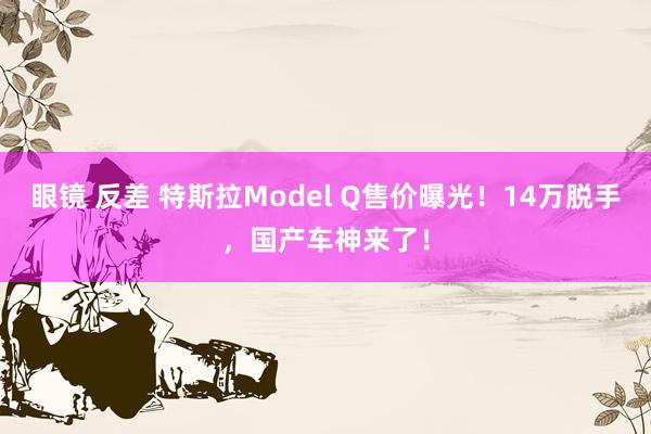 眼镜 反差 特斯拉Model Q售价曝光！14万脱手，国产车神来了！