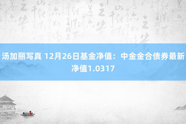 汤加丽写真 12月26日基金净值：中金金合债券最新净值1.0317