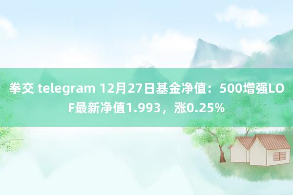 拳交 telegram 12月27日基金净值：500增强LOF最新净值1.993，涨0.25%