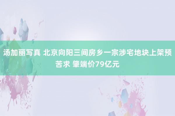 汤加丽写真 北京向阳三间房乡一宗涉宅地块上架预苦求 肇端价79亿元