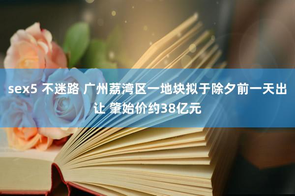 sex5 不迷路 广州荔湾区一地块拟于除夕前一天出让 肇始价约38亿元