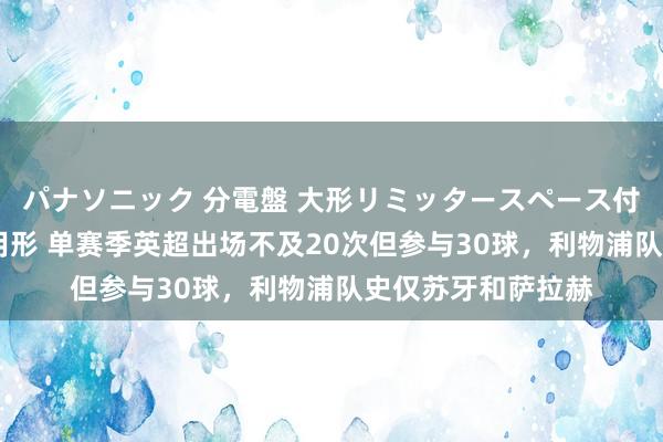 パナソニック 分電盤 大形リミッタースペース付 露出・半埋込両用形 单赛季英超出场不及20次但参与3