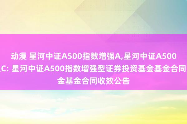 动漫 星河中证A500指数增强A,星河中证A500指数增强C: 星河中证A500指数增强型证券投资基