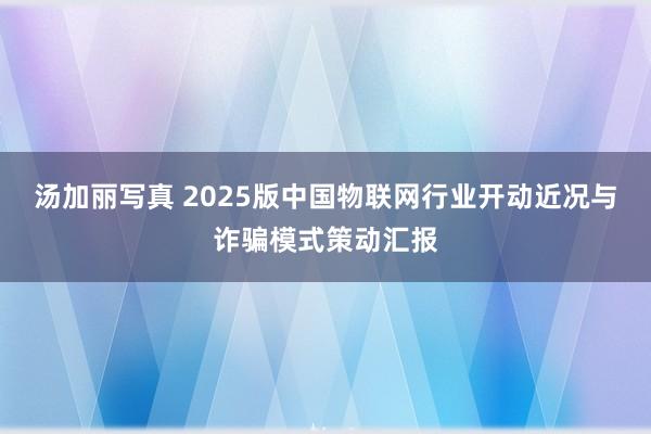 汤加丽写真 2025版中国物联网行业开动近况与诈骗模式策动汇报