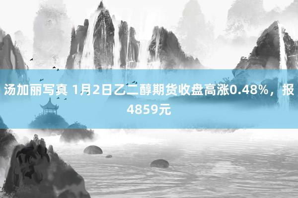 汤加丽写真 1月2日乙二醇期货收盘高涨0.48%，报4859元