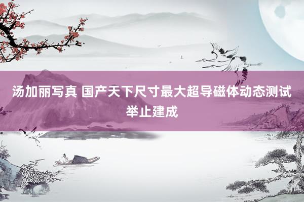 汤加丽写真 国产天下尺寸最大超导磁体动态测试举止建成