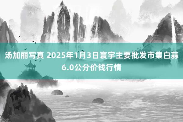汤加丽写真 2025年1月3日寰宇主要批发市集白蒜6.0公分价钱行情