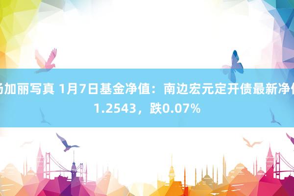 汤加丽写真 1月7日基金净值:南边宏元定开债最新净值1.2543,跌0.07%