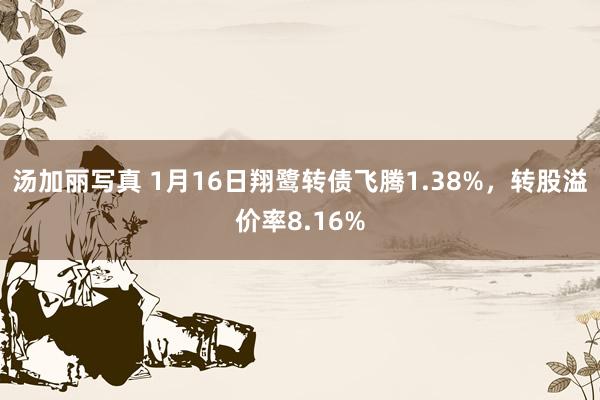 汤加丽写真 1月16日翔鹭转债飞腾1.38%,转股溢价率8.16%