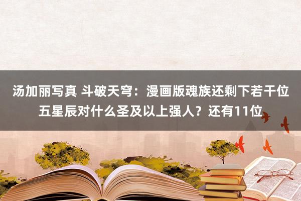 汤加丽写真 斗破天穹：漫画版魂族还剩下若干位五星辰对什么圣及以上强人？还有11位