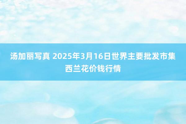 汤加丽写真 2025年3月16日世界主要批发市集西兰花价钱行情