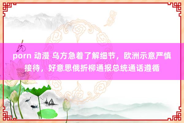 porn 动漫 乌方急着了解细节，欧洲示意严慎接待，好意思俄折柳通报总统通话遵循